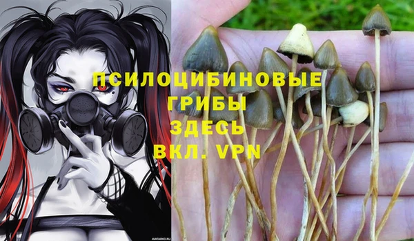 бошки Кинешма