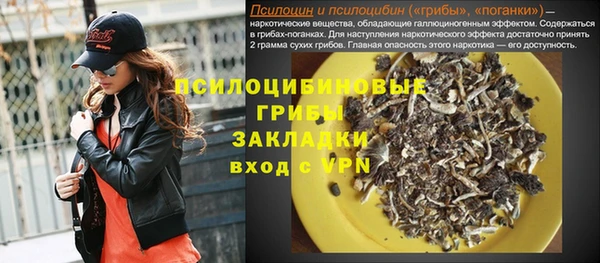ПСИЛОЦИБИНОВЫЕ ГРИБЫ Касимов