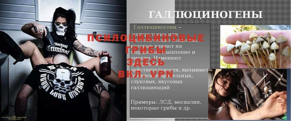дмт Карпинск