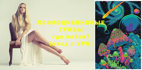 ПСИЛОЦИБИНОВЫЕ ГРИБЫ Касимов