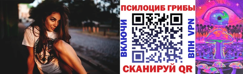 Купить где  Белый  Псилоцибиновые грибы мухоморы 